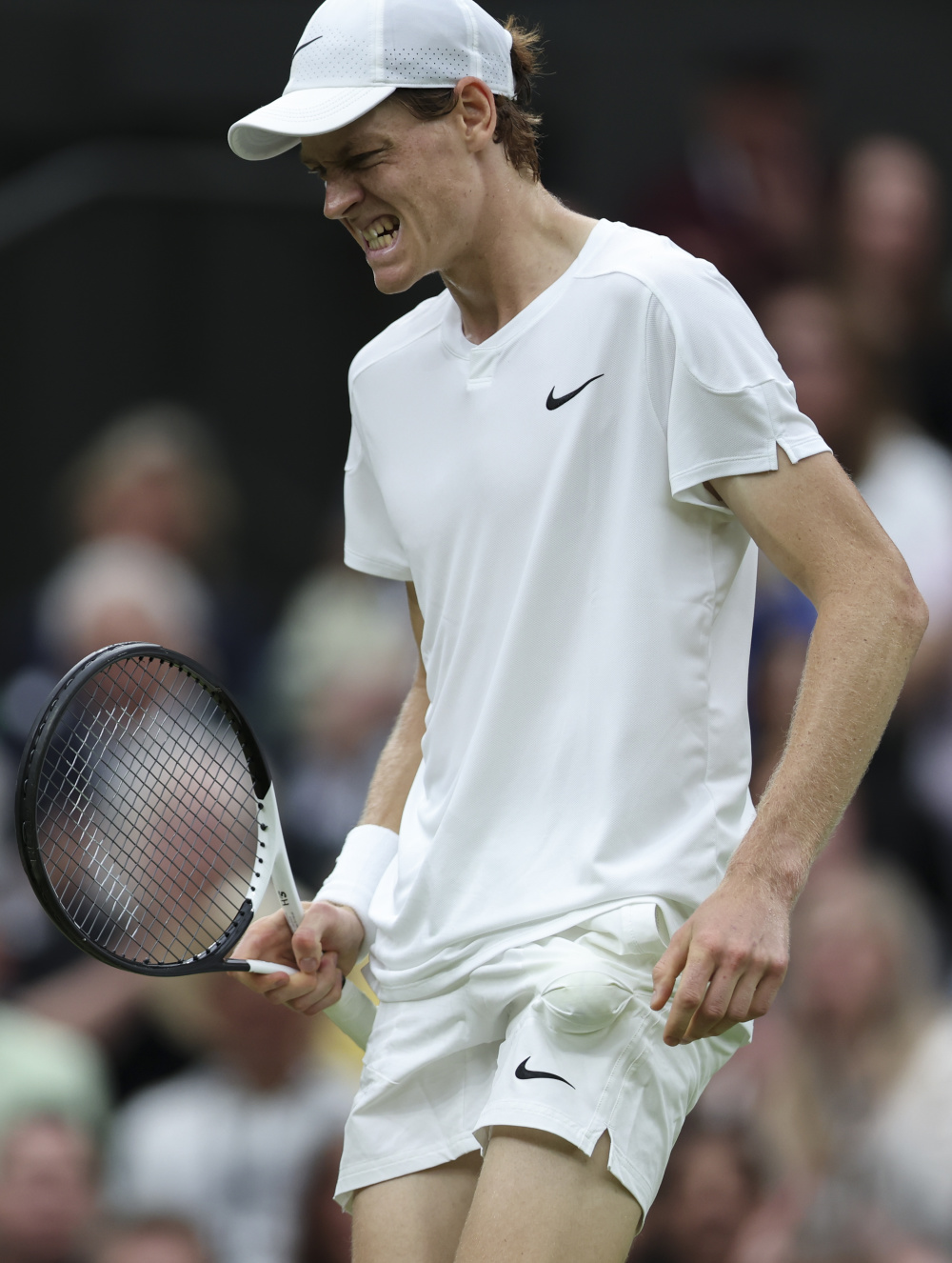 森纳深思熟 森纳深思熟