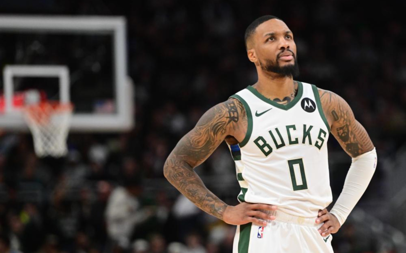 绩完全有望 绩完全有望