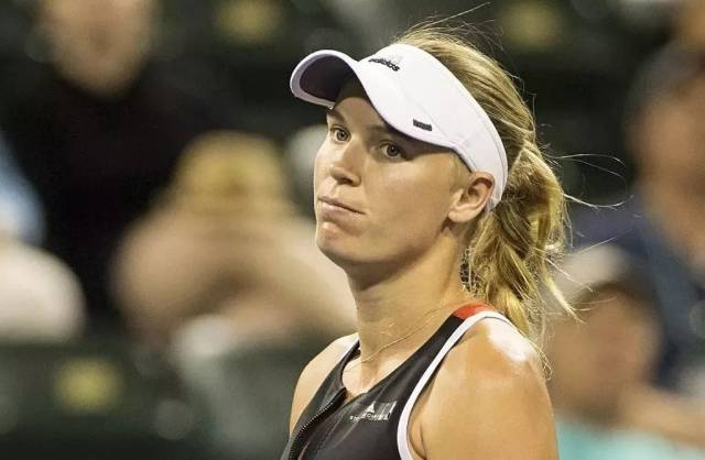 职业生涯 职业生涯